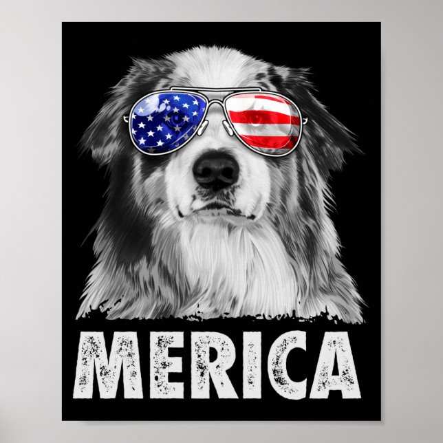 Poster Aussie australian shepherd 4 de julho merica (Frente)