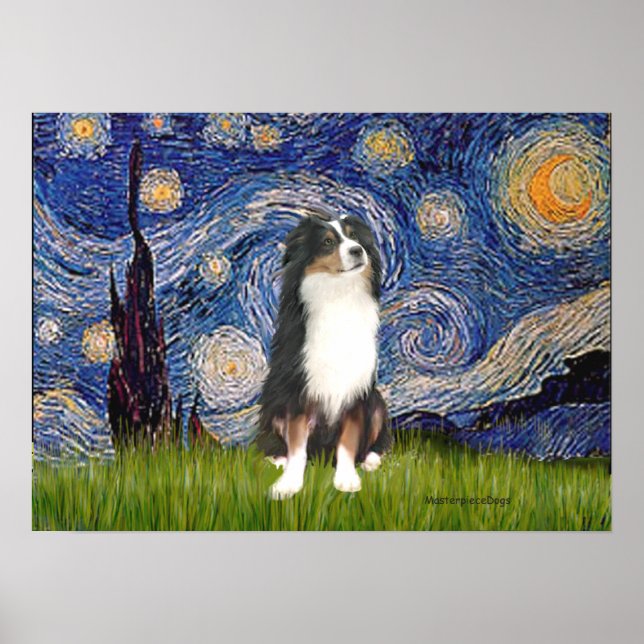 Póster Aussie Shep (Tri2) - Noite Estrelada (Frente)