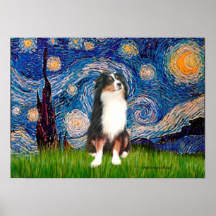 Póster Aussie Shep (Tri2) - Starry Night