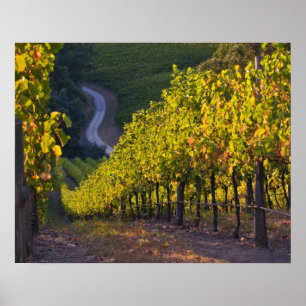 Póster Austrália do Sul, Colinas de Adelaide, Summertown.