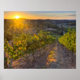 Poster Austrália Meridional, Adelaide Hills, Summertown.