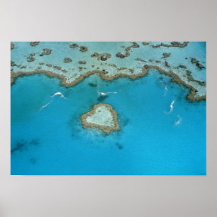 Póster Austrália, Queensland, Ilhas Whitsunday,