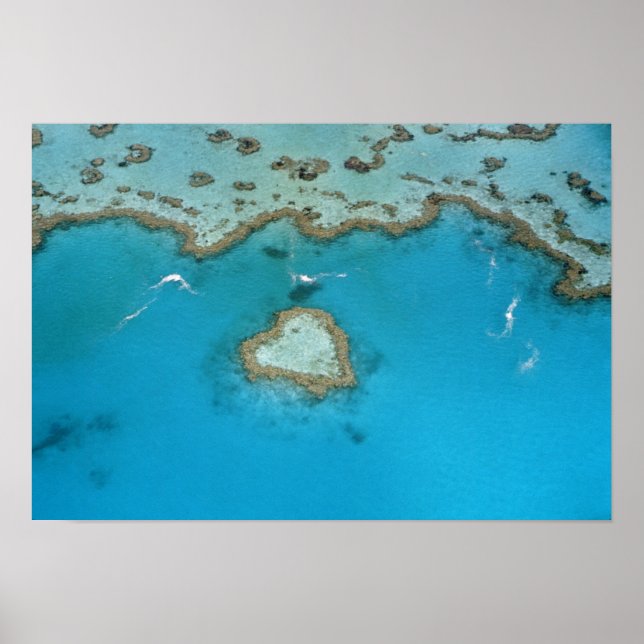 Póster Austrália, Queensland, Ilhas Whitsunday, (Frente)