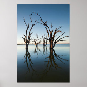 Póster Austrália, Vale do Rio Murray, Barmera, Lago