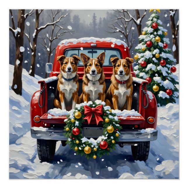 Póster Australian Cattle Dog Christmas Red Truck Holiday (Frente)