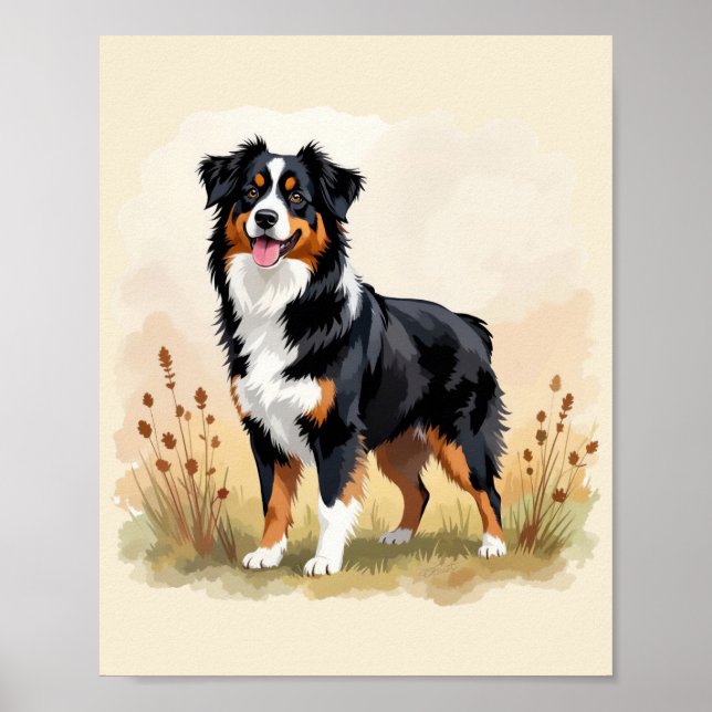 Poster Australian Shepherd Black Tricolor Aussie Dog (Frente)