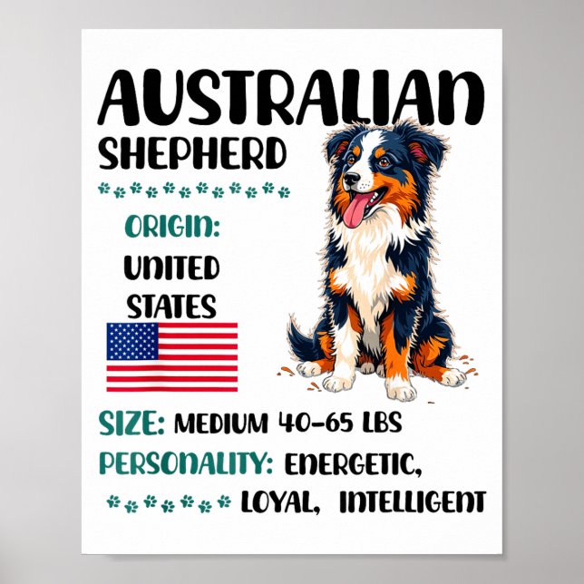 Poster Australian Shepherd Origin Funny Aussie Dog Lover  (Frente)