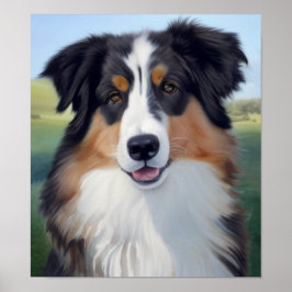 Poster Australian Shepherd Portrait -