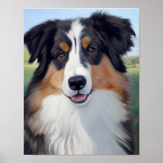 Poster Australian Shepherd Portrait  -  (Frente)