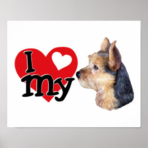 Poster australiano Terrier I (coração) my