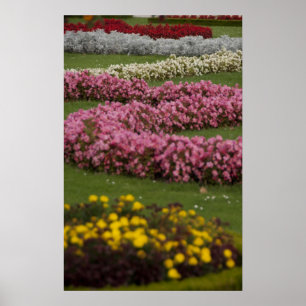 Póster Áustria, Viena. Barroco de Maria Teresa