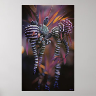 Poster Autêntico