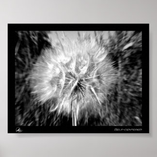 Póster Autocentrado