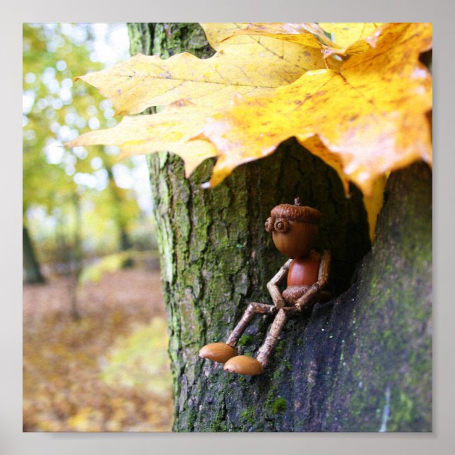 Poster Autumn Acorn elf sentado no ácer (Frente)
