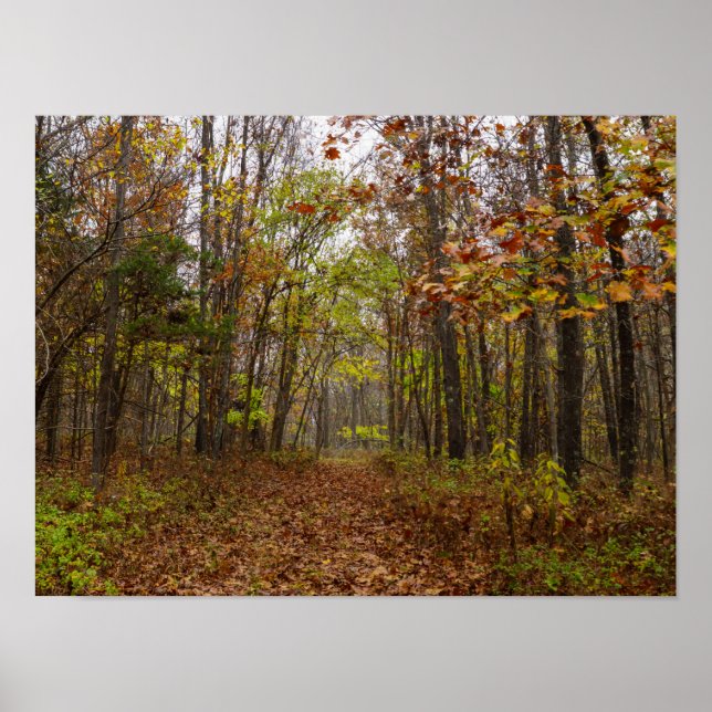 Poster Autumn Bliss (Frente)