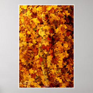 Poster Autumn by Johannes Stötter