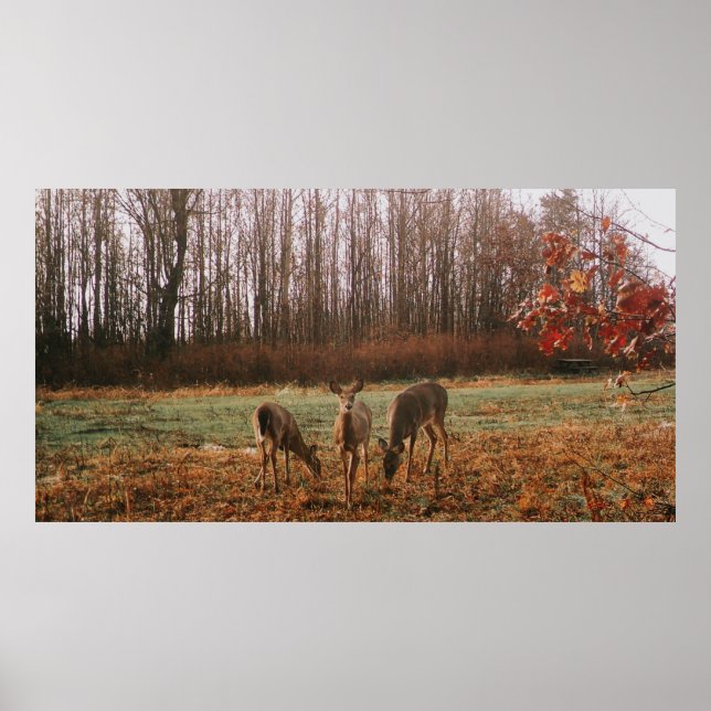 Poster Autumn Deer (Frente)