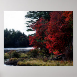 Poster Autumn Foliage By Swamp Nature Orton Effect