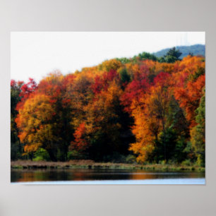 Póster Autumn Foliage Por Pond Orton Art
