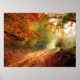 Poster Autumn Forest Track