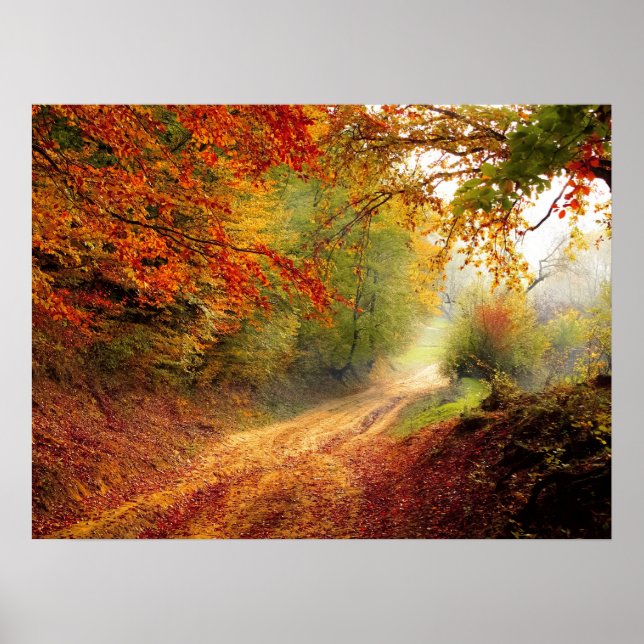 Poster Autumn Forest Track (Frente)