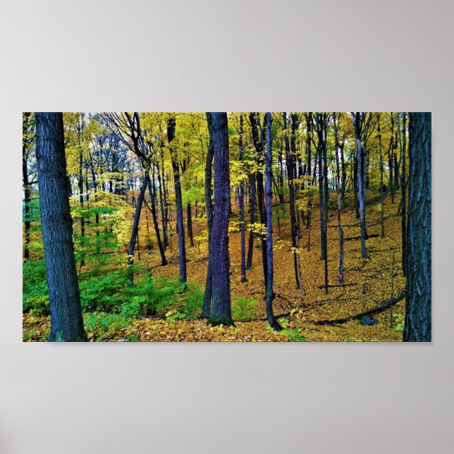 Poster Autumn Forest, West Bend, Wisconsin (Frente)