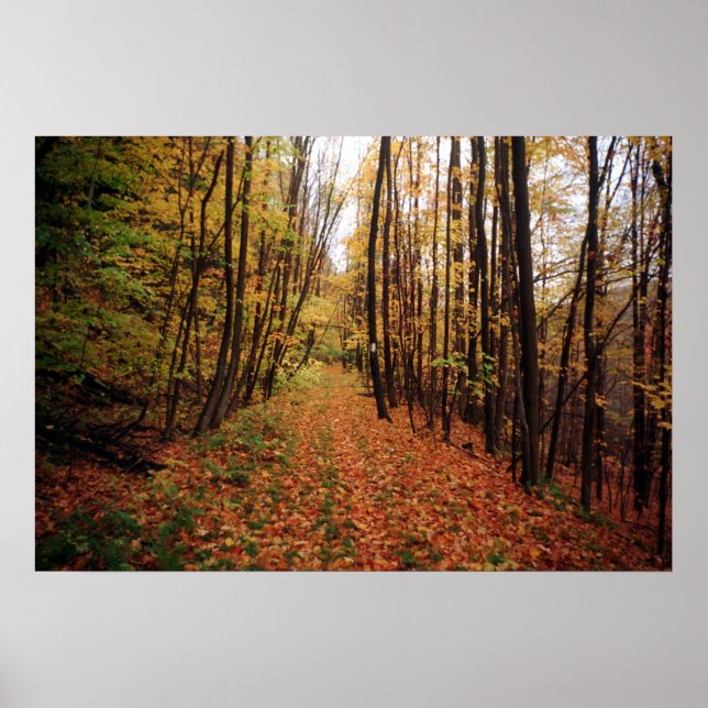 Poster Autumn Hike (Frente)