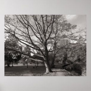 Poster Autumn Landscape Bute Park Cardiff