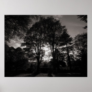 Póster Autumn Landscape Bute Park Cardiff