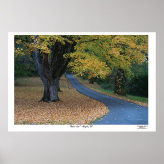 Póster Autumn Lane