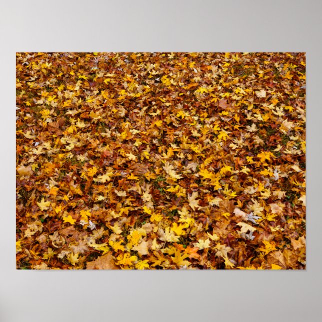 Poster Autumn Leaves Abstrato (Frente)