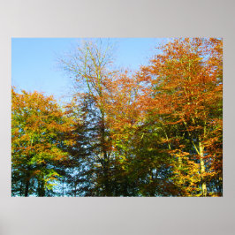 Poster Autumn Leaves & Blue Skies - Personalised