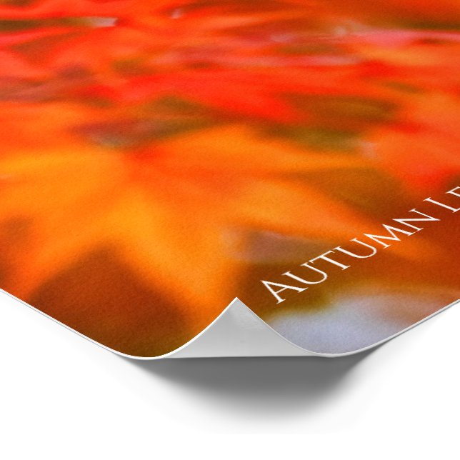 Poster Autumn Leaves [Poster] (Borda)