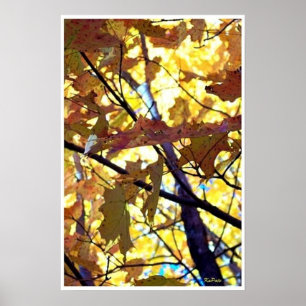 Poster Autumn Leaves Querem Árvores Brilhantes