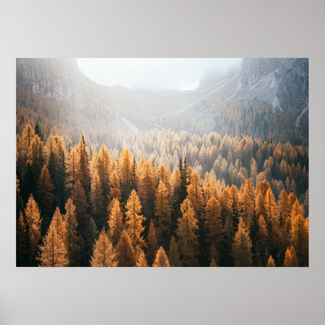 Poster Autumn Mountain View Com Laranjas Amarelas (Frente)