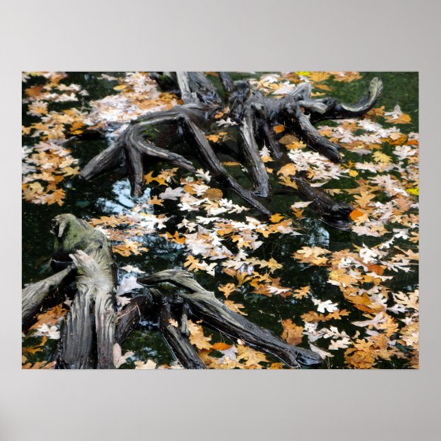 Poster Autumn Otter Pond de Folhas (Frente)