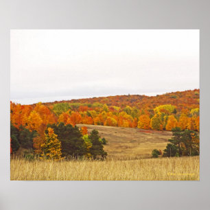 PÓSTER "AUTUMN PALETTE/MICHIGAN COUNTRYSIDE"