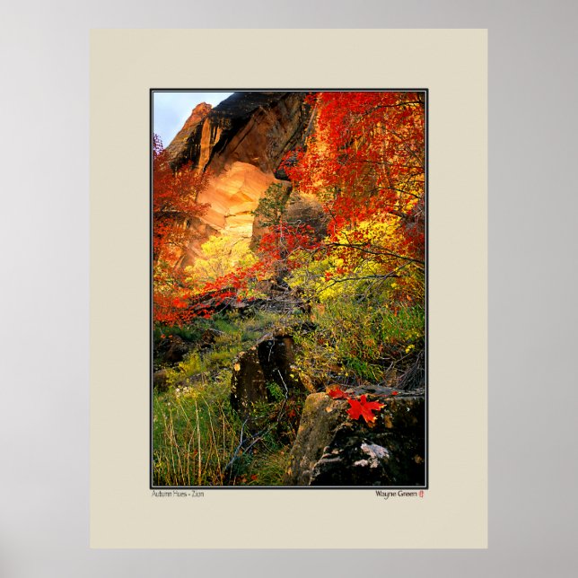 Poster Autumn - Parque Nacional do Zion (Frente)