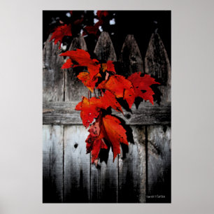 Póster Autumn Red