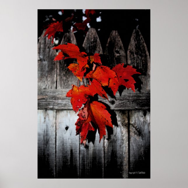 Póster Autumn Red (Frente)
