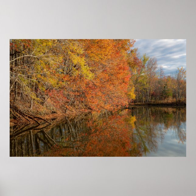 Poster Autumn Reflections  (Frente)