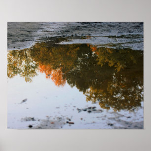 Poster Autumn Reflections In A Puddle Nature