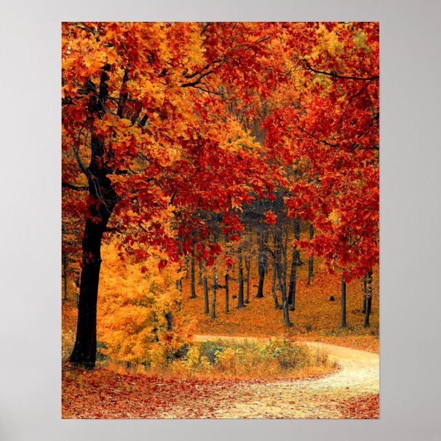 Poster Autumn Road (Frente)