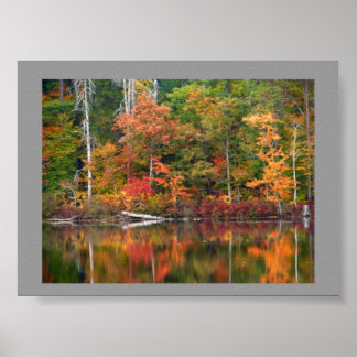 Póster Autumn Serenity