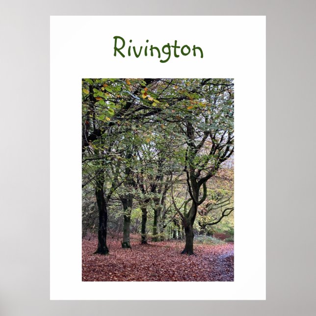 Poster Autumn Trees Rivington (Frente)
