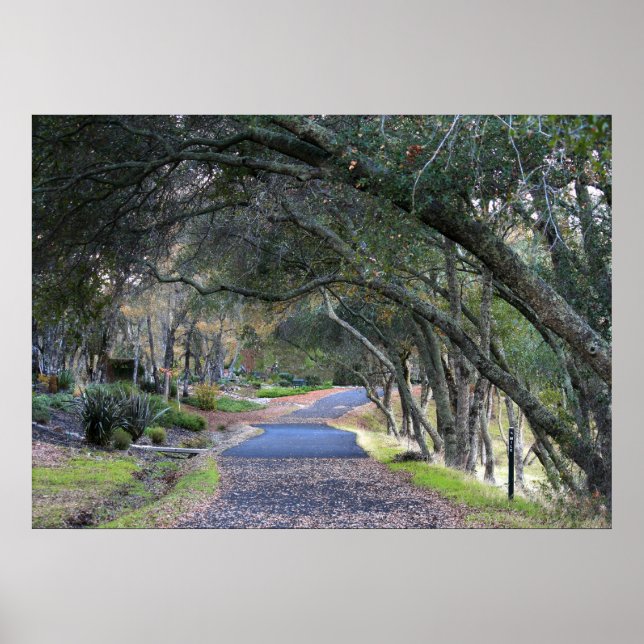 Poster "Autumn Walk" (Frente)