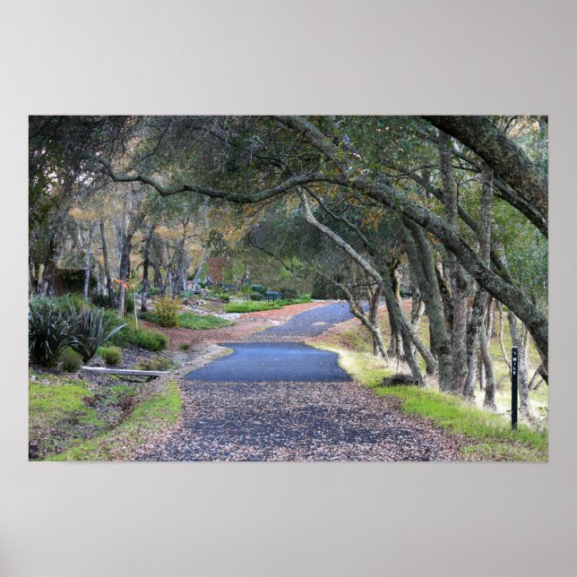 Póster "Autumn Walk" (Frente)