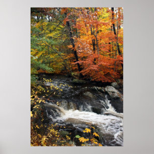 Poster Autumn Waterfall