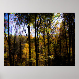 Poster Autumn Woods