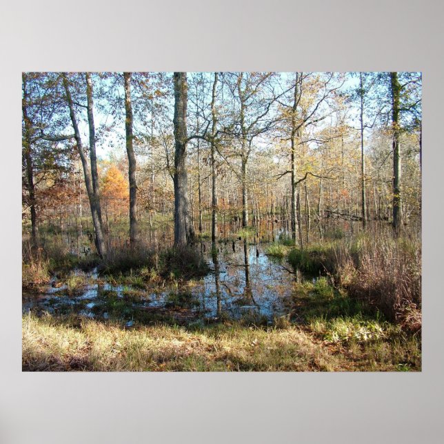 Póster Autumn Woods (Frente)